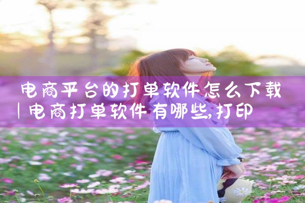 电商平台的打单软件怎么下载