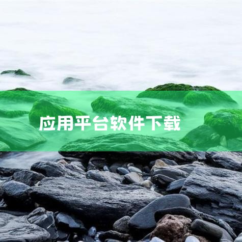 ZDFANS.COM：这是一个非营利的软件下载博客，专注于分享热门的PC软件和安卓应用。该网站致力于提供优质的原创无广告绿色软件，以及常用的破解优化软件，满足用户的多样化需求。三、游戏与应用下载平台 ,糖心Vlog入口