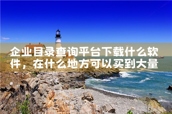 企业目录查询平台下载什么软件