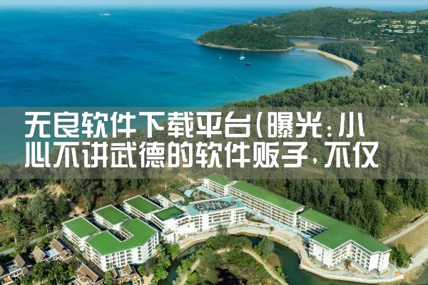 无良软件下载平台|糖心Vlog入口