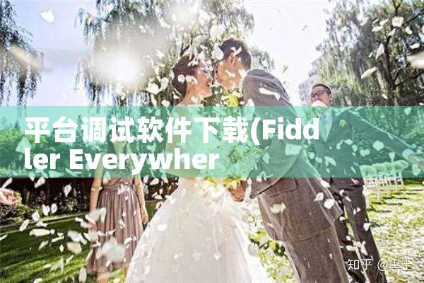 平台调试软件下载|糖心Vlog入口