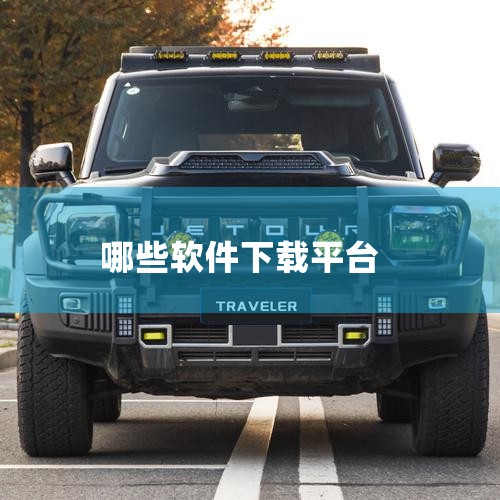 能够下载应用的软件排行榜中，豌豆荚、应用汇、百度手机助手和应用宝是较为突出的应用商店，此外酷安、网易云游戏、雷电圈、应用多多、GooglePlayStore等也各有优势。以下是具体介绍：豌豆荚：作为安|糖心Vlog入口