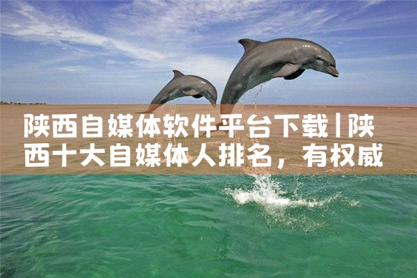 陕西自媒体软件平台下载|糖心Vlog入口