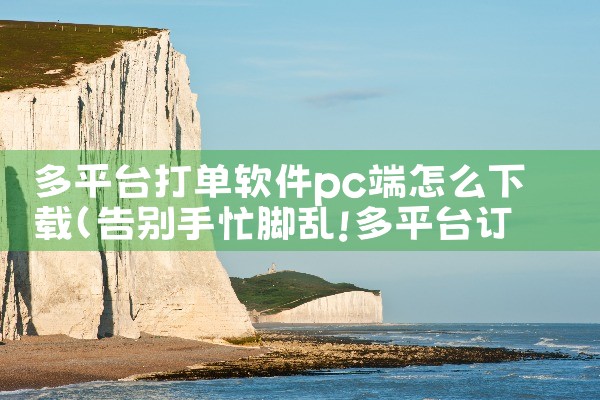 多平台打单软件pc端怎么下载