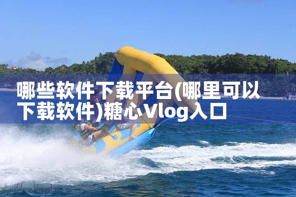 哪些软件下载平台|糖心Vlog入口