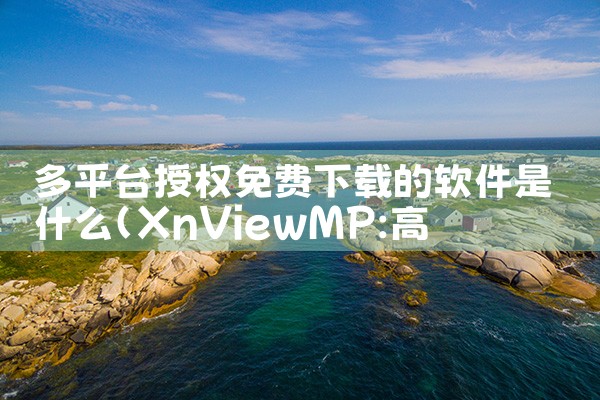 多平台授权免费下载的软件是什么