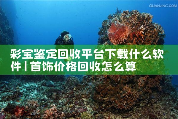 彩宝鉴定回收平台下载什么软件